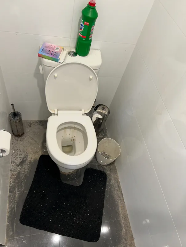 Toilet with a stained bowl and a soiled floor mat before cleaning, with a cleaning product on the cistern